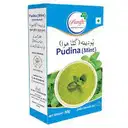 Aarafh Pudina (Mint) – image 1