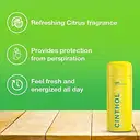 Cinthol Refreshing Deo Talc – image 5
