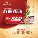 Dabur Red Toothpaste  – image 2