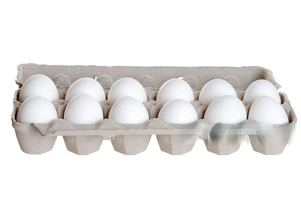White Egg's 12 Piece