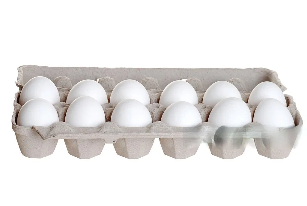 White Egg's 12 Piece