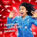 Colgate MaxFresh Anticavity Toothpaste Gel, Spicy Fresh – image 6