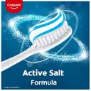 Colgate Toothpaste Active Salt 100gm 15gm extra  – image 4