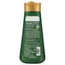 Kesh King Scalp and Hair Medicine Anti Hairfall Shampoo, – image 4