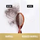 Pantene Hair Fall Control Shampoo – image 5