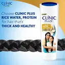 Clinic Plus Strong & Thick Shampoo with Rice Water, Protein + Vitamin E – image 3