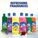 Lizol Disinfectant Surface & Floor Cleaner Liquid, Citrus  – image 3