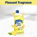 Lizol Disinfectant Surface & Floor Cleaner Liquid, Citrus  – image 5
