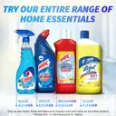 Lizol Disinfectant Floor Cleaner – image 6