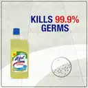 Lizol Disinfectant Citrus Surface Cleaner – image 4