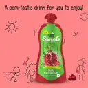 Paper Boat Swing Zesty Pomegranate Juice – image 3