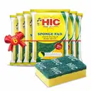 HIC Scrub Pad – image 1
