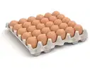 QS Brown Egg's 30 Pieces – image 2
