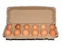 QS Brown Egg's 30 Pieces – image 4