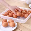 QS Brown Egg's 30 Pieces – image 5