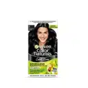 Garnier Color Naturals Mini, Shade 100, Natural Black – image 1