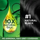 Garnier Color Naturals Mini, Shade 100, Natural Black – image 3