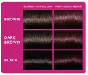 Loreal Paris Casting Creme Gloss Conditioning Color 316 Burgundy 21gm+24ml – image 2