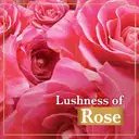 Lux Soft Glow Rose & Vitamin E For Glowing Skin Beauty Soap  – image 3