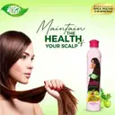 Meghdoot Ayurvedic Satreetha Shampoo – image 2