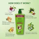 SESA Ayurvedic Anti Hairfall Shampoo – image 3