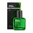 Wild Stone Forest Spice Men – image 1