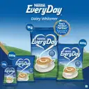 Nestle Everyday Dairy Whitener – image 6