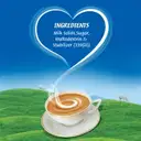 Nestle Everyday Dairy Whitener – image 9