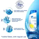 Head & Shoulders , Anti Dandruff Shampoo, Lemon Fresh – image 2