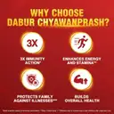 Dabur Chyawanprash 2X3X Immunity – image 5