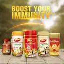 Dabur Chyawanprash 2X3X Immunity – image 7
