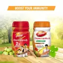Dabur Chyawanprakash Sugarfree  – image 4