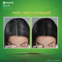 Garneir Black Naturals Shade – image 7