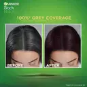 Garnier Black Naturals Burgundy Hair Color Shade – image 5