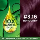 Garnier Color Naturals Mini Shade 3.16 Burgundy – image 6