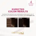 L'Oreal Paris Excellence Creme Hair Color Natural Brown – image 3