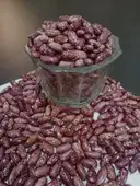Red Kidney Beans (Rajma) – image 2