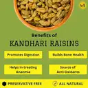 KING UNCLE ROUND GREEN RAISIN/ KISHMISH KANDHARI 250g – image 2