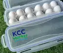 Fresh White Eggs (Pack of 12) – image 2