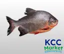 POMFRET (POPLET) SLICES ONLY (SUNDAY ONLY) – image 1