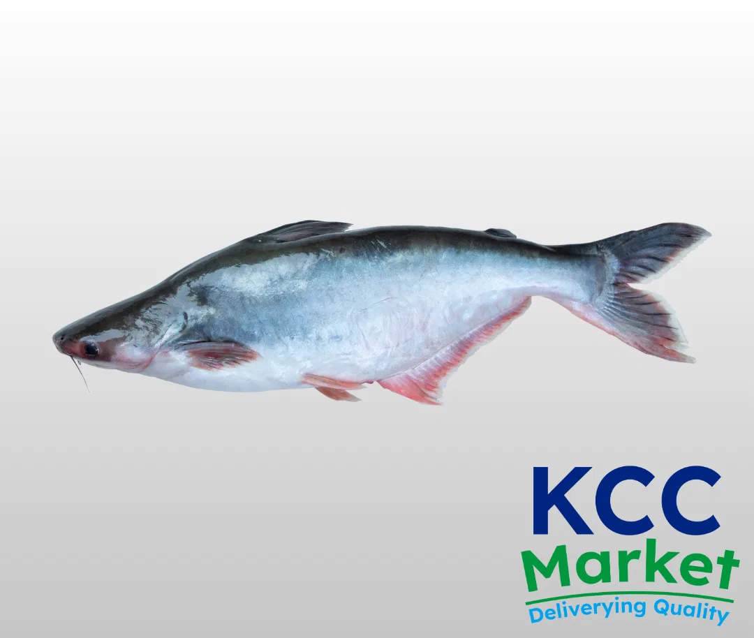 PANGASIUS BASA RAW (SUNDAY ONLY)