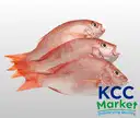 SHANKARA RED SNAPPER FISH (SUNDAY ONLY) – image 1