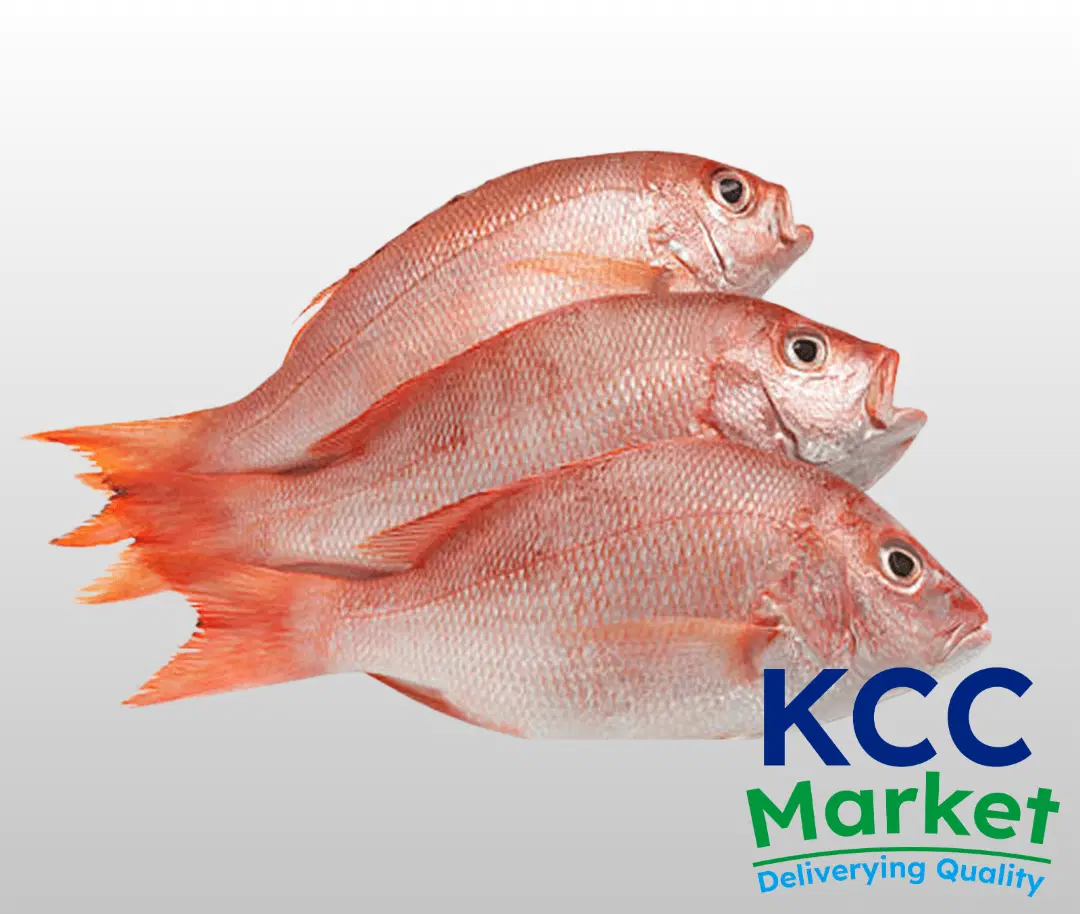 SHANKARA RED SNAPPER FISH (SUNDAY ONLY)