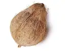 Brown Coconut – image 1