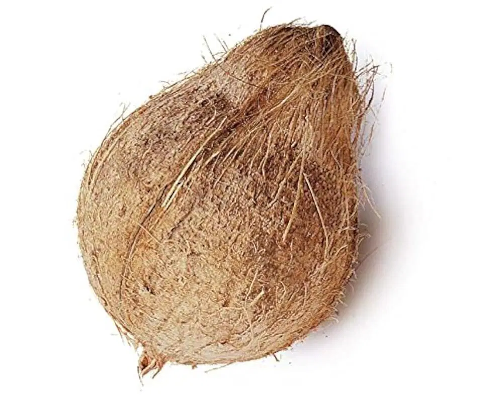 Brown Coconut