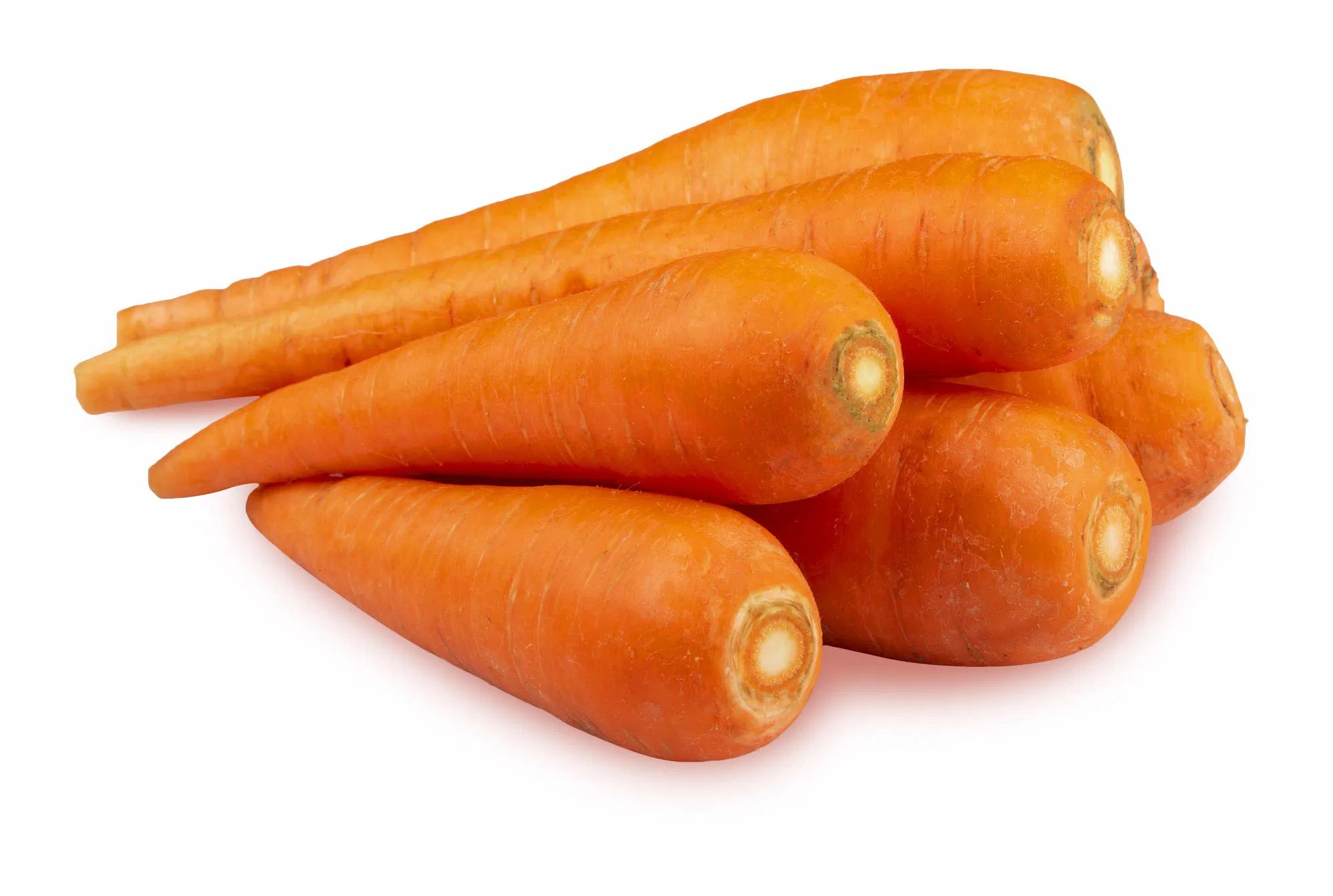 Carrot (Gajar)