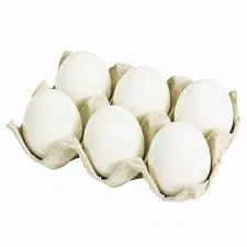 Egg