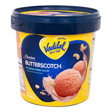 Vadilal Gourmet Butterscotch 110ml