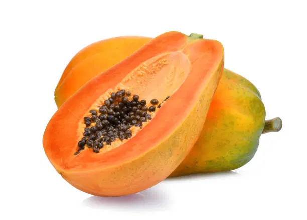 Papaya(Papita)