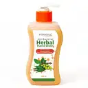 Patanjali Herbal Handwash 250 ml – image 1